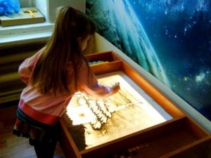 �����������