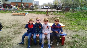 �����������